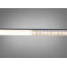 LED стрічка 24в, 120 шт/м, герметична, 8мм, теплий Diasha N24-2835-120-WW-65-8