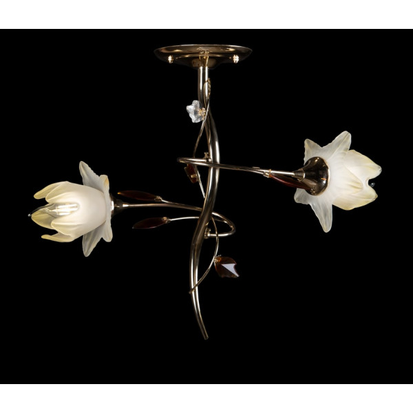 Люстра с плафонами  L311/2 (FGD+BRN) Splendid-Ray
880212