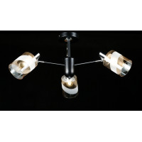 Люстра с плафонами Splendid-Ray 286174(BK+CR)