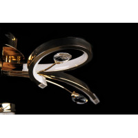 Светодиодная люстра L1099/2-24W LED (FG) Splendid-Ray
234214