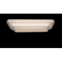 Светодиодная люстра Splendid-Ray 1999522/48W*2 LED (WT)