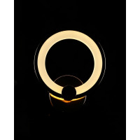 Светодиодная бра BK237/1 LED (FGD) Splendid-Ray
2850141