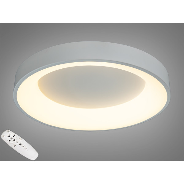 Світильник із регульованим кольором світіння 50W Diasha 2166-500WH