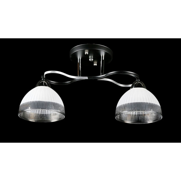 Люстра с плафонами L8258/2 (BK+CR) Splendid-Ray
234492 Люстра с плафонами L8258/2 (BK+CR) Splendid-Ray
234492