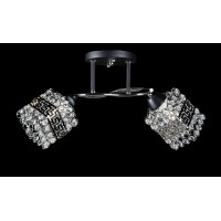 Люстра с плафонами Splendid-Ray 280090/2 (CR+BK)