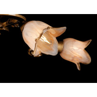 Люстры потолочные с пафоном Splendid-Ray 882198 (GB) 