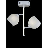 Люстры потолочные с пафоном  Splendid-Ray 1002722 (WHITE) 