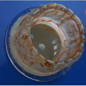 Точечный светильник OSD312 [RED] Splendid-Ray
999940