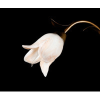 Люстра с плафонами Splendid-Ray L 128290 