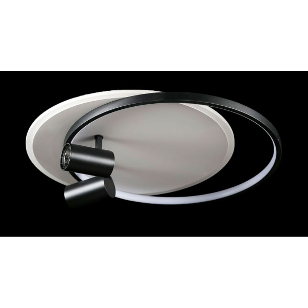 Светодиодная люстра L2451/480/2+2 LED (WHITE+BLACK) Splendid-Ray
2624