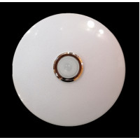 Светодиодная люстра Splendid-Ray 1999515/30W*2 LED+BLUETOOTH (WT)