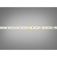 LED стрічка 12В, 120 діодів на метр, 5мм, холодний Diasha N12-2835-120-CW-20-5