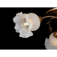 Люстры потолочные в спальню кухню Splendid-Ray 882422