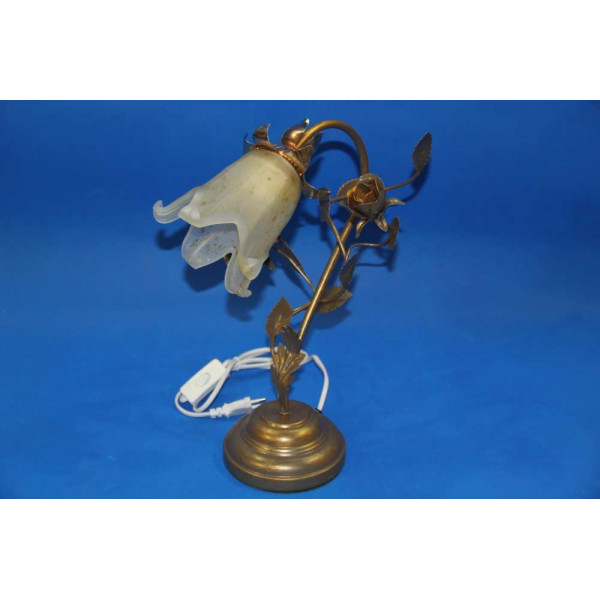 Настольная лампа с плафоном N1221/1 (BG) Splendid-Ray
15035