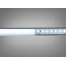 LED стрічка 24в, 120 шт/м, герметична, 8мм, холодний Diasha N24-2835-120-CW-65-8