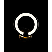 Светодиодная бра BK237/1 LED (FGD) Splendid-Ray
2850141