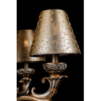 Люстра свеча L1276CF2/4 (GAB) Splendid-Ray
68996