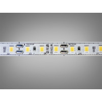 LED стрічка 12В, 120 діодів на метр, 8мм, холодний Diasha P12C-2835-120-CW-20-8