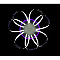 Люстры потолочные светодиодные с пультом Splendid-Ray C25/40/94