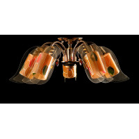 Люстра с плафонами  L0917/5 Splendid-Ray
7183