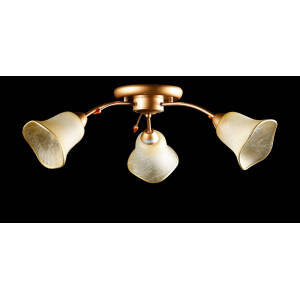 Люстра с плафонами  L90598/3 Splendid-Ray
192003