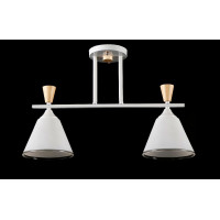 Люстра с плафонами  L6019/2 (WHI) Splendid-Ray
260745