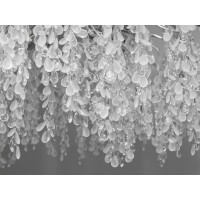 Сучасна алюмінієва кришталева люстра "Гліцинія",  9 ламп, хром Diasha A603-800CH