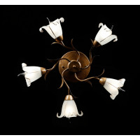 Люстра с плафонами Splendid-Ray 882465