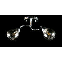 Люстра с плафонами  L8460/2 (CR) Splendid-Ray
234453