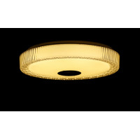 Светодиодная люстра Splendid-Ray 1999536/30W*2 LED+BLUETOOTH (WT)