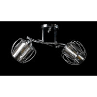 Люстра с плафонами  L9118/2 (CR) Splendid-Ray
0260824