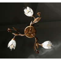 Люстры потолочные с пафоном Splendid-Ray 192421