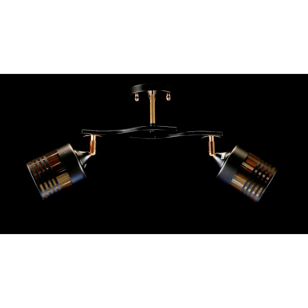 Люстра с плафонами  L6972A/2 (BLK+FG) Splendid-Ray
260807