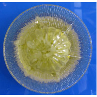 Точечный светильник OSD302 (GR) Splendid-Ray
999546