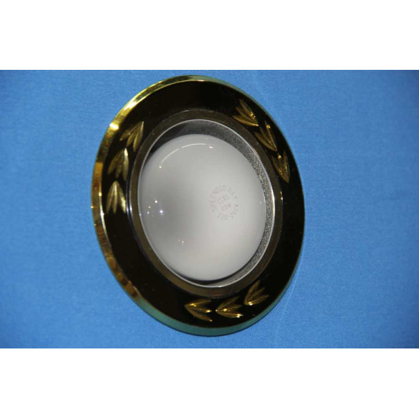 Точечный светильник O-1020 [BK+GD] Splendid-Ray
16996
