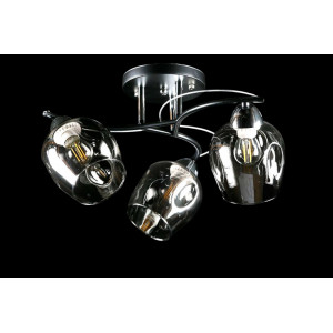 Люстра с плафонами  L8208/3A (BK+CR) Splendid-Ray
234519