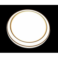 Светодиодная люстра L9178/24W*2 LED (WT+GD) Splendid-Ray
1999516