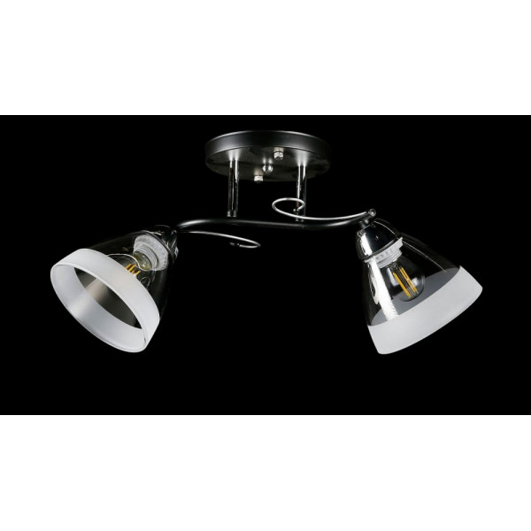 Люстра с плафонами L8332/2B (BK+CR) Splendid-Ray
234477 Люстра с плафонами L8332/2B (BK+CR) Splendid-Ray
234477