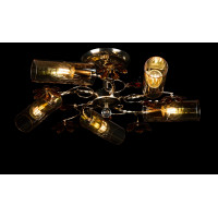 Люстра с плафонами Splendid-Ray 2635 (FGD)