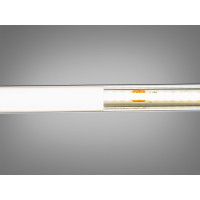 COB LED стрічка 12В, 320 діодів на метр, 5мм, нейтральний Diasha P12-COB-320-NW-20-5