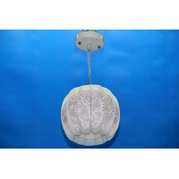 Подвесная люстра  L29163/1 (MIX) Splendid-Ray
212239