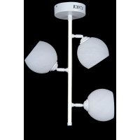 Люстры потолочные с пафоном Splendid-Ray 1002723 (WHITE)