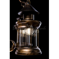 Декоративная люстра L2149/5(AB) Splendid-Ray
875018