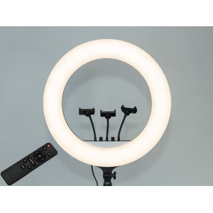 Селфі лампа з пультом, 45см, без штатива, живлення 220В Diasha SL-RL-21