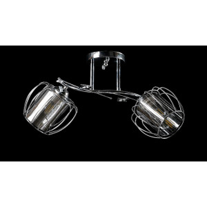 Люстра с плафонами  L9118/2 (CR) Splendid-Ray
0260824