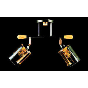 Люстра с плафонами  L6025/2 (BLK+FG) Splendid-Ray
260751