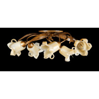 Люстры потолочные с пафоном Splendid-Ray 879851