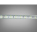 LED стрічка 220в, 288 шт/м, герметична, 10мм, зелений Diasha P220-2835-120-GREEN-65-12