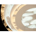 Потолочная светодиодная люстра с пультом Diasha MX1526-500WH