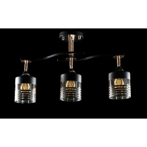 Люстра с плафонами  L6972A/3 (BLK+FG) Splendid-Ray
260808